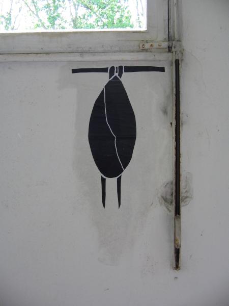 Projet insolite